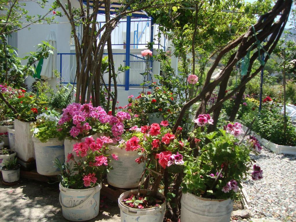 Mavi Akvaryum Pension Hotel Sogut  Ngoại thất bức ảnh